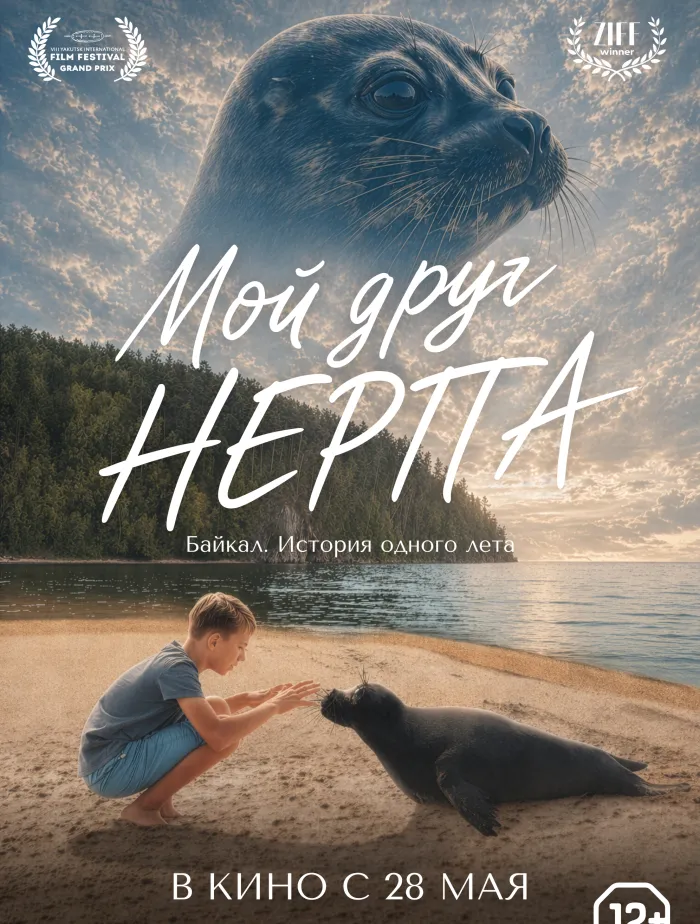 Мой друг нерпа