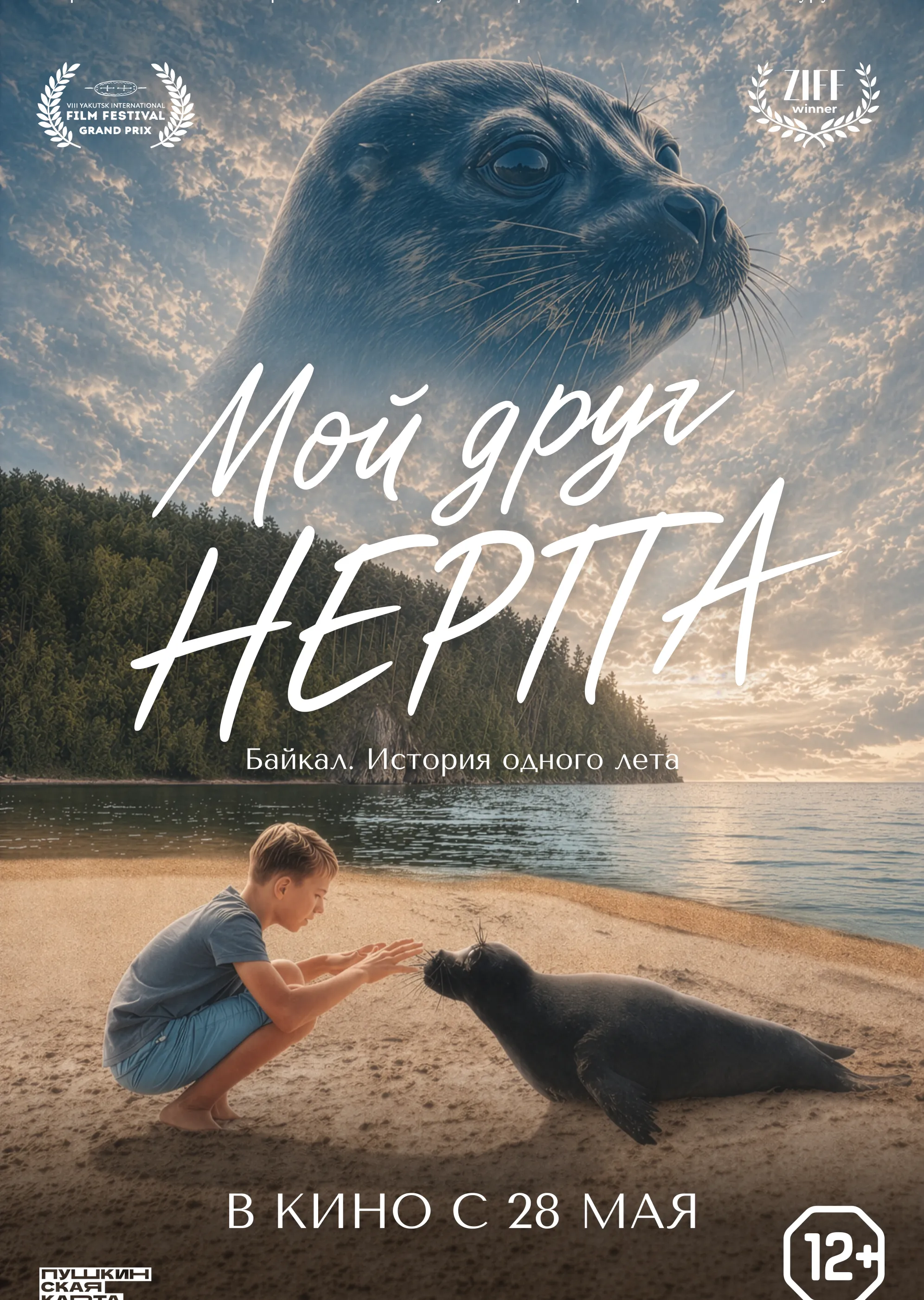 Мой друг нерпа